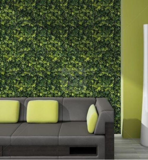 WhatsApp Image 2024-07-29 at 5.33.39 PM