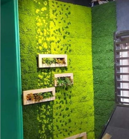 WhatsApp Image 2024-07-29 at 5.33.42 PM (1)