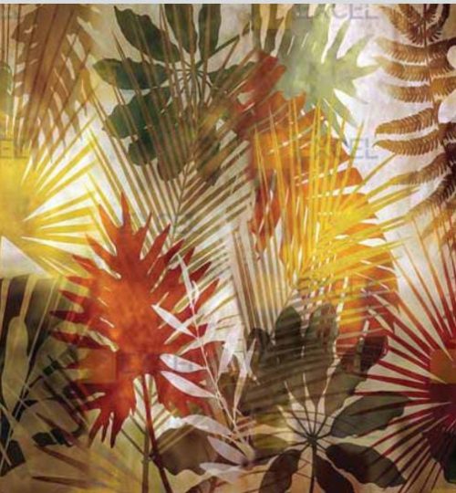 WhatsApp Image 2024-07-29 at 5.33.50 PM